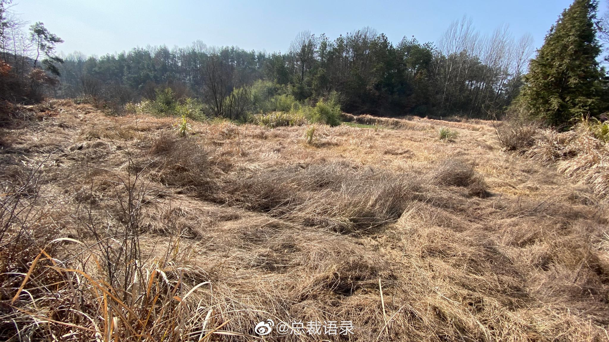 这几天每天坚持去爬山,渐渐地也不怀疑自己有什么病了