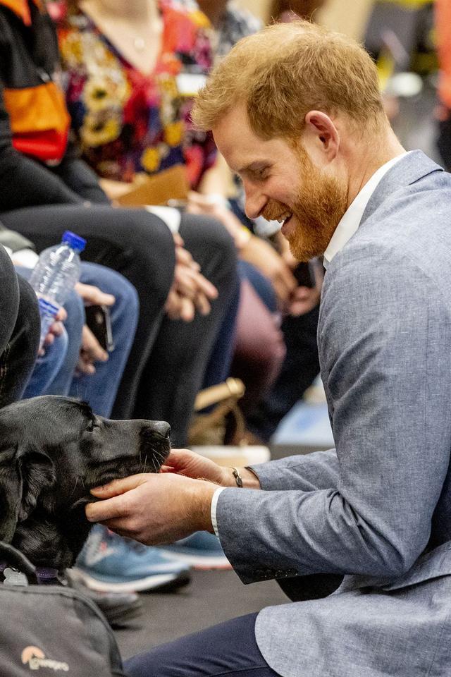 混血王子阿奇出生三日即成留守儿童,创汇120亿已超路易王子表哥