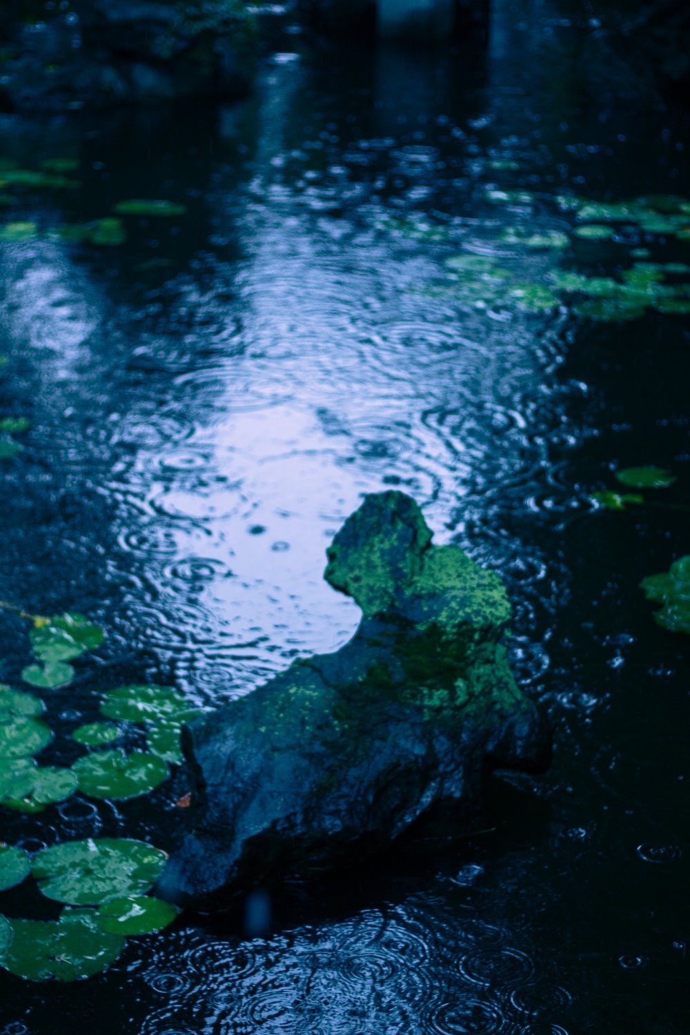君问归期未有期，巴山夜雨涨秋池