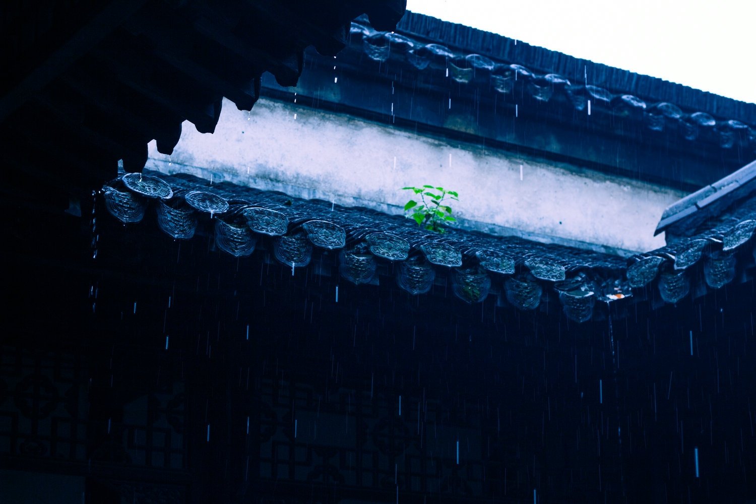君问归期未有期，巴山夜雨涨秋池