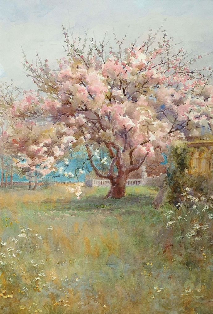 春花| yuri obukhovsky