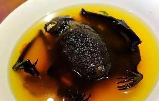 东南亚最恶心的食物,千万别在吃饭时看,不然吃的饭全吐出来