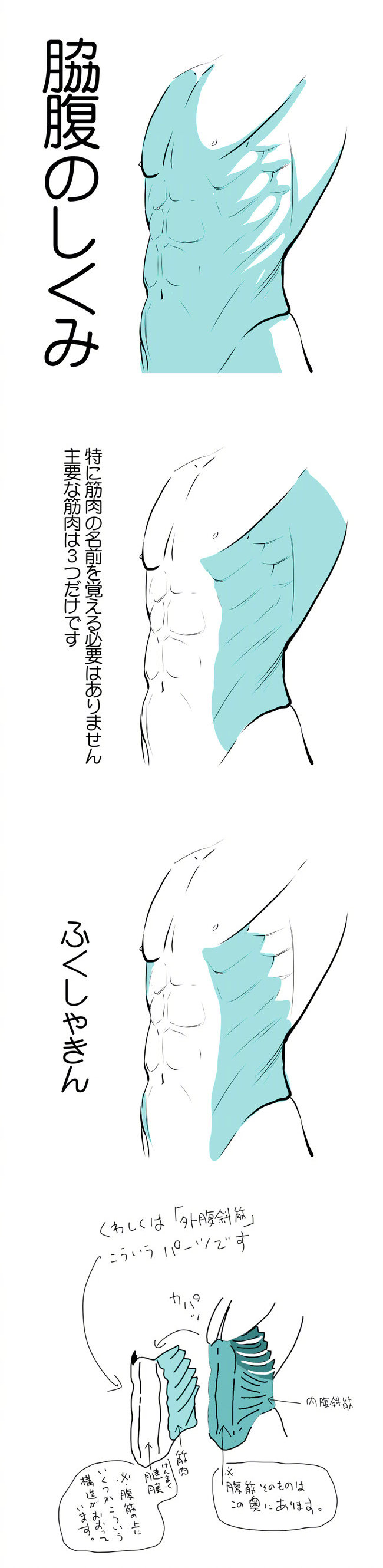 来自绘师季月エル Pid 5635 的侧腹炼成手册 来自绘师季月エル Pid 5635 的侧腹炼成手册