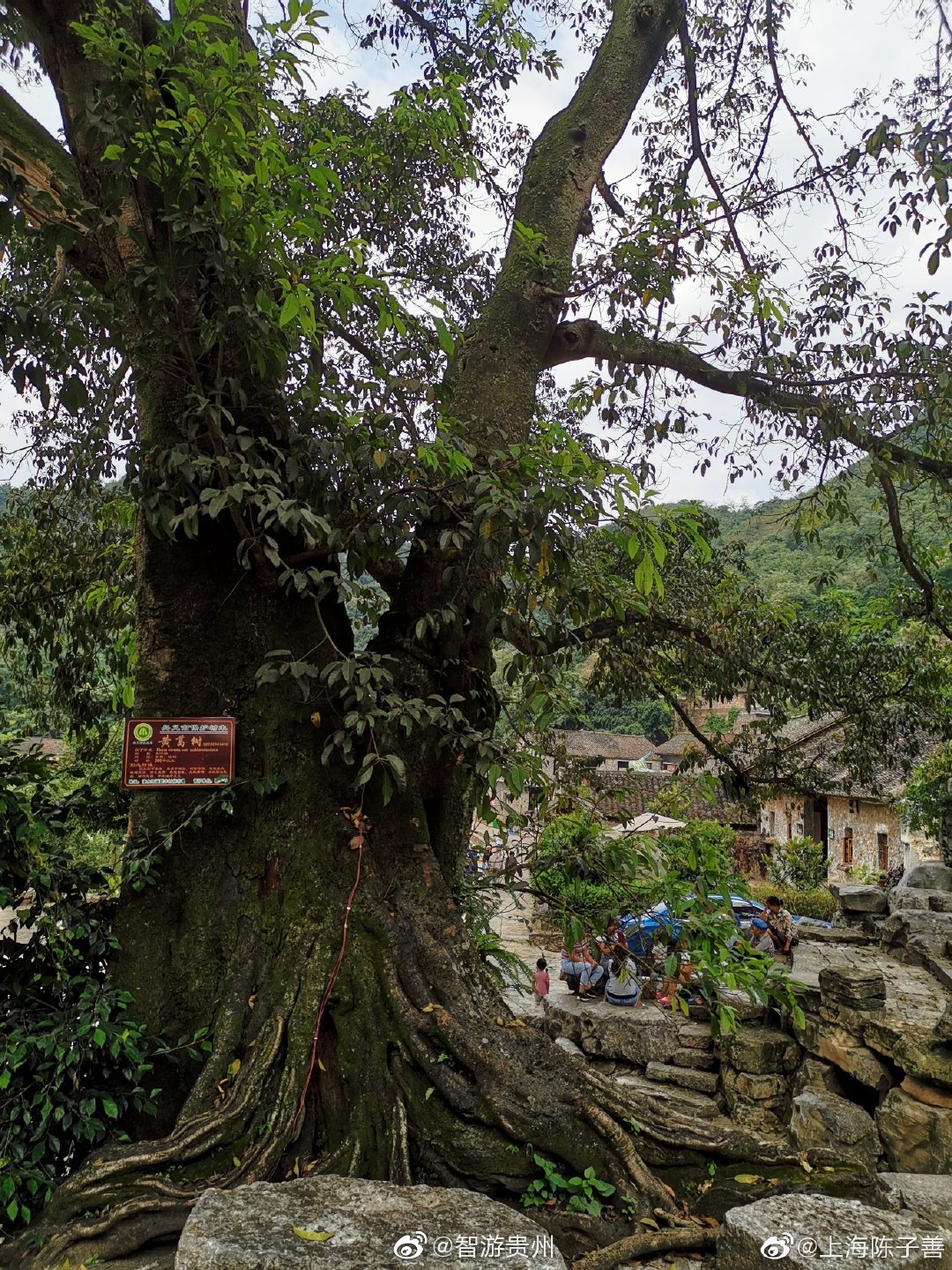 贵州省兴义市清水河镇雨补鲁村村一景 67@上海陈子善