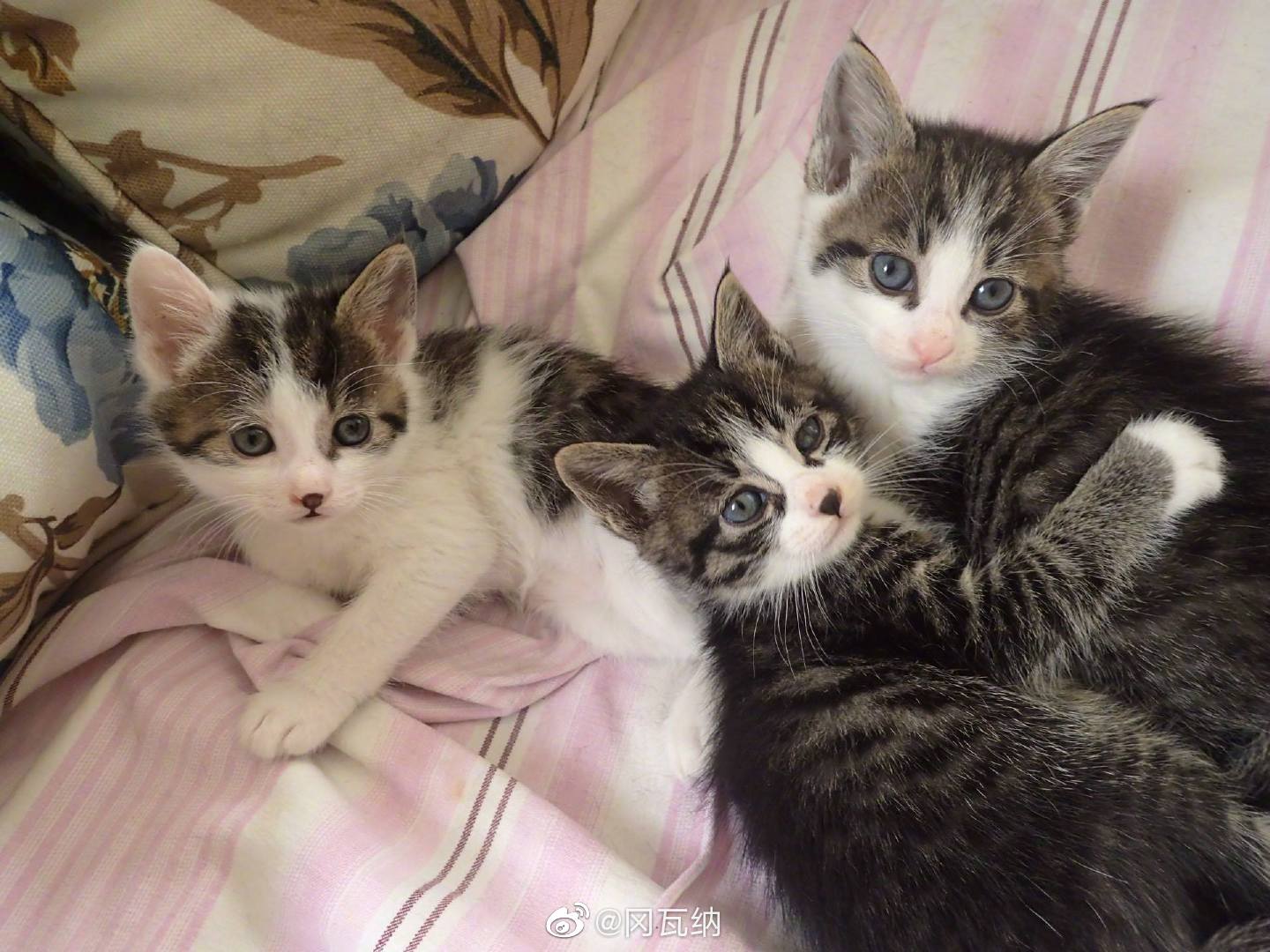 要是孩子讲“不想活了”,父母怎么回应才关键?