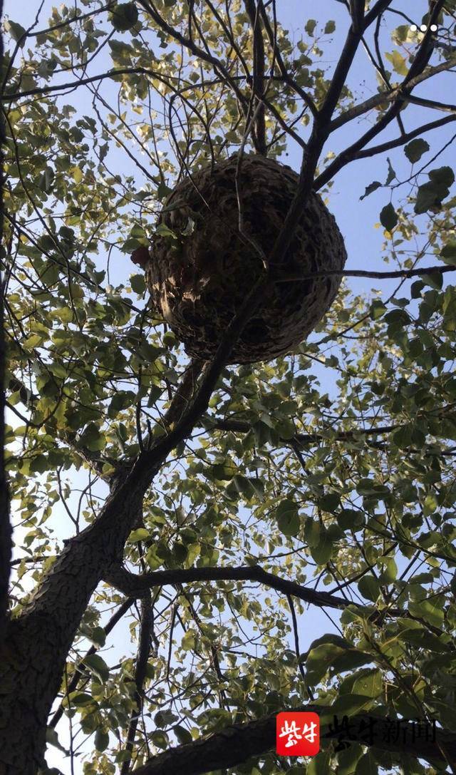 民警调来消防车来帮忙|马蜂窝|公分|民警_新浪新闻