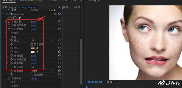 Pr怎么给视频中的人物磨皮美颜?这款插件可一