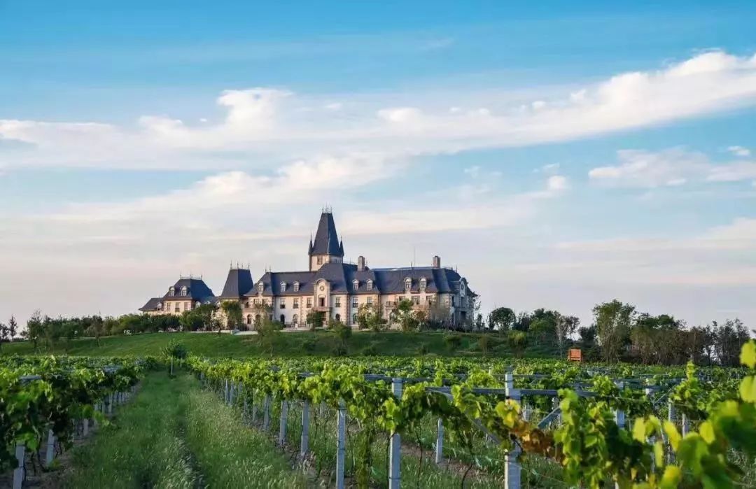 京津冀后花园文安鲁能希尔顿酒店坐拥千亩湖泊万亩庄园