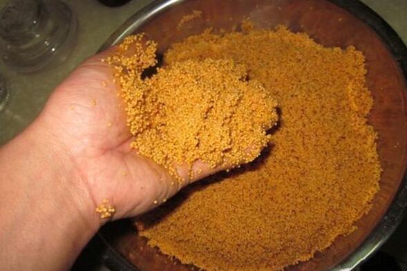 冬天野钓专用自制窝料,发窝稍慢但是留窝持久