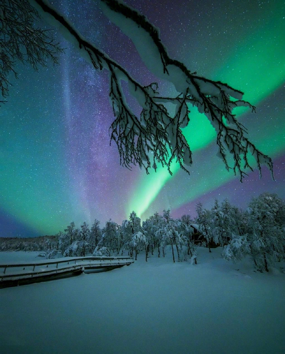 北极的极光,好久没见了吧