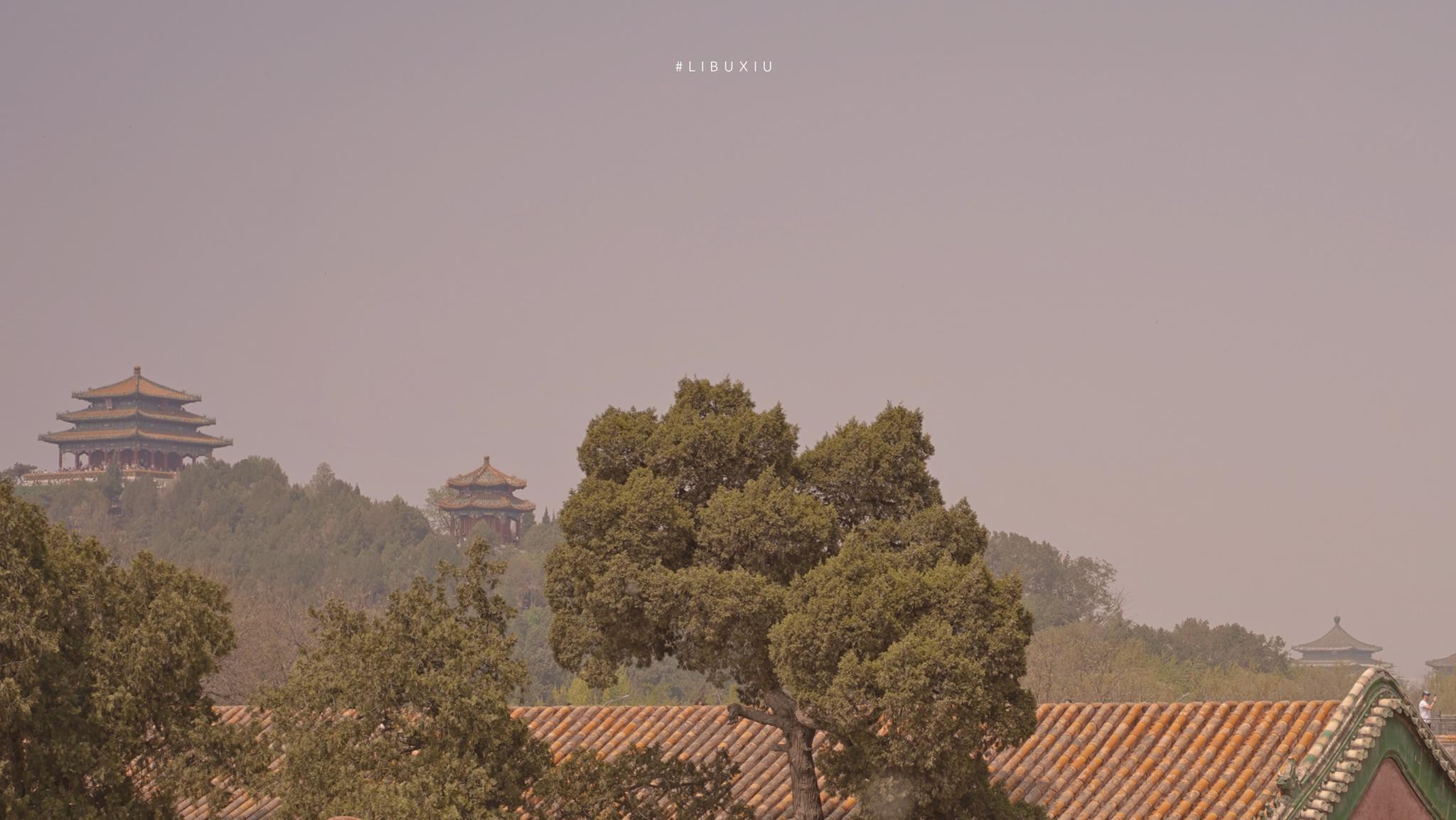 the palace museum | 故宫推荐摄影师:@黎不朽  6