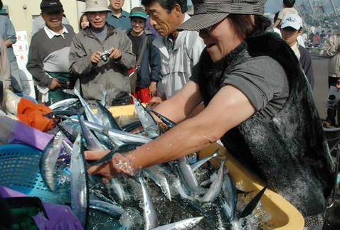 日本秋刀鱼捕获量减产称因中国捕太多 提议限捕秋刀鱼