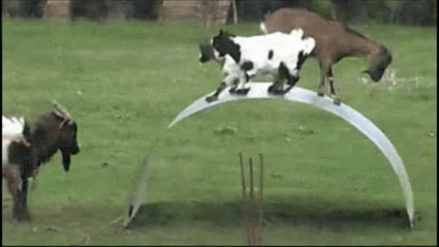 德国工业世界第一,看一下钢板折弯机就知道了