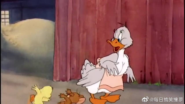 猫和老鼠,汤姆追鸭妈妈,割草机割掉了鸭妈妈的衣服真是害羞啊