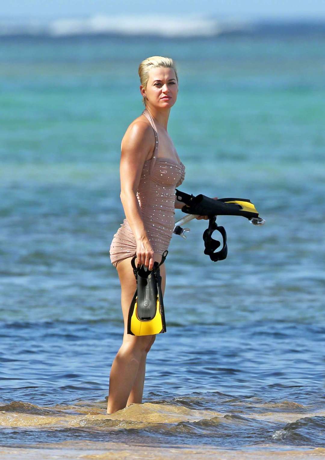 圣诞假日,在夏威夷浮潜的水果姐katy perry.