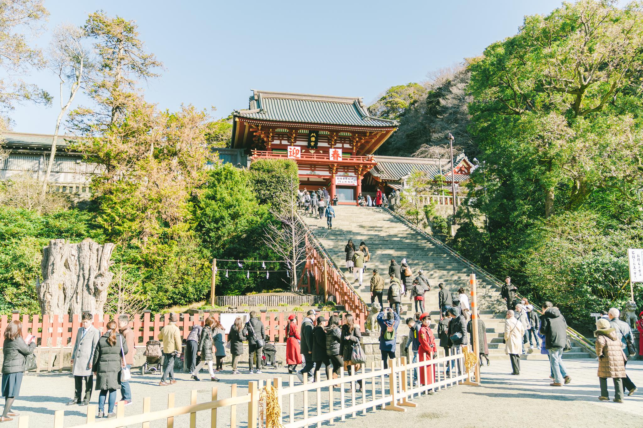 我在镰仓的鹤冈八幡宫找寻着1063年幕府时代的时光这里香火鼎盛/这