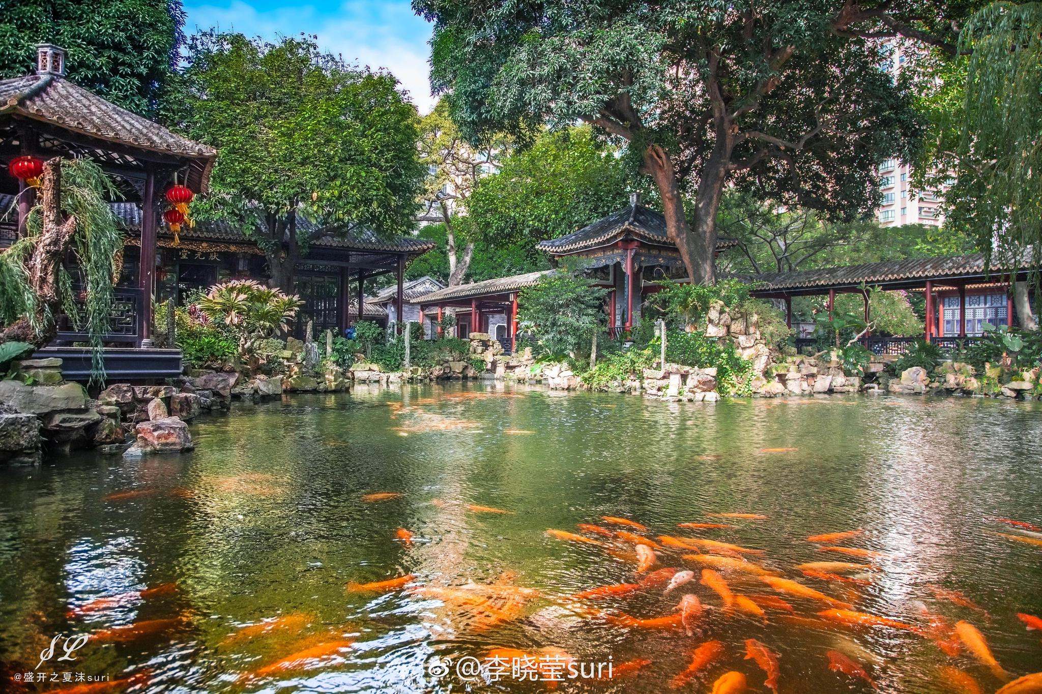 大良seo优化团队