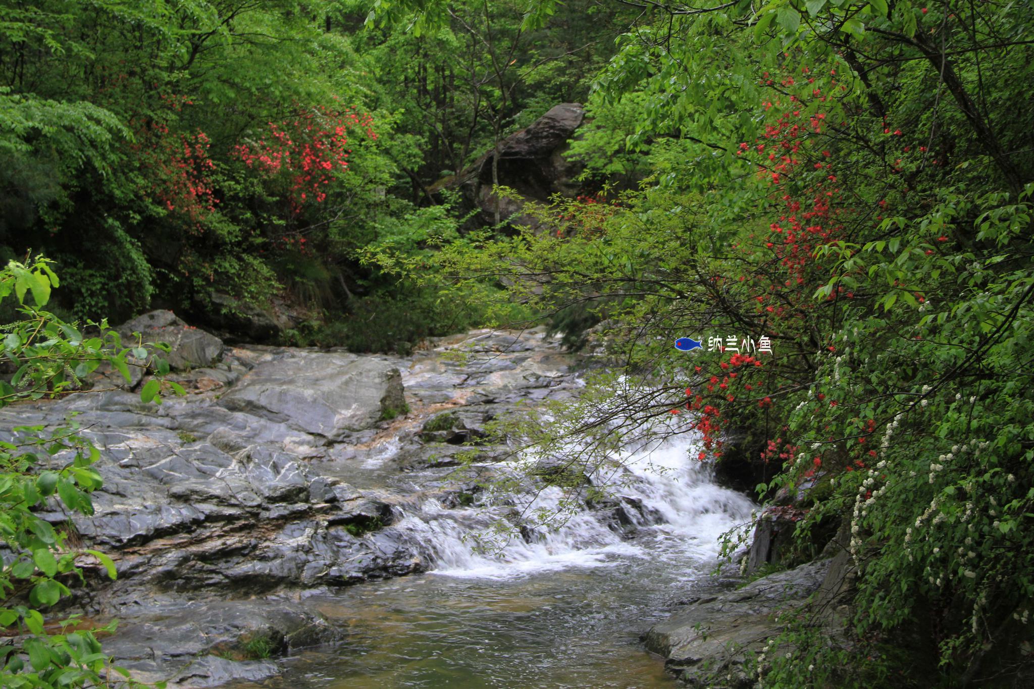 距武汉2小时湖北安徽交界处大别山南麓有个隐匿的森林童话王国