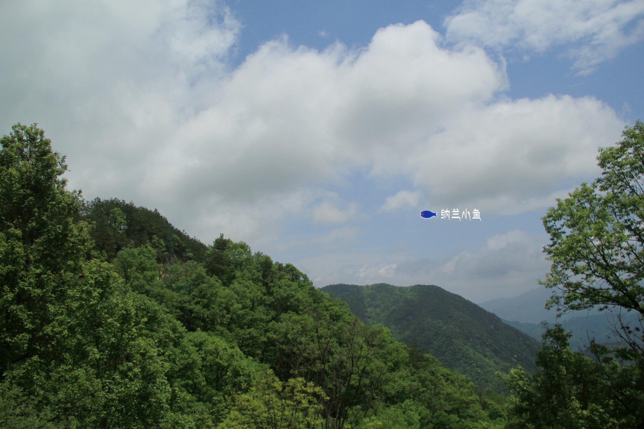 距武汉2小时湖北安徽交界处大别山南麓有个隐匿的森林童话王国