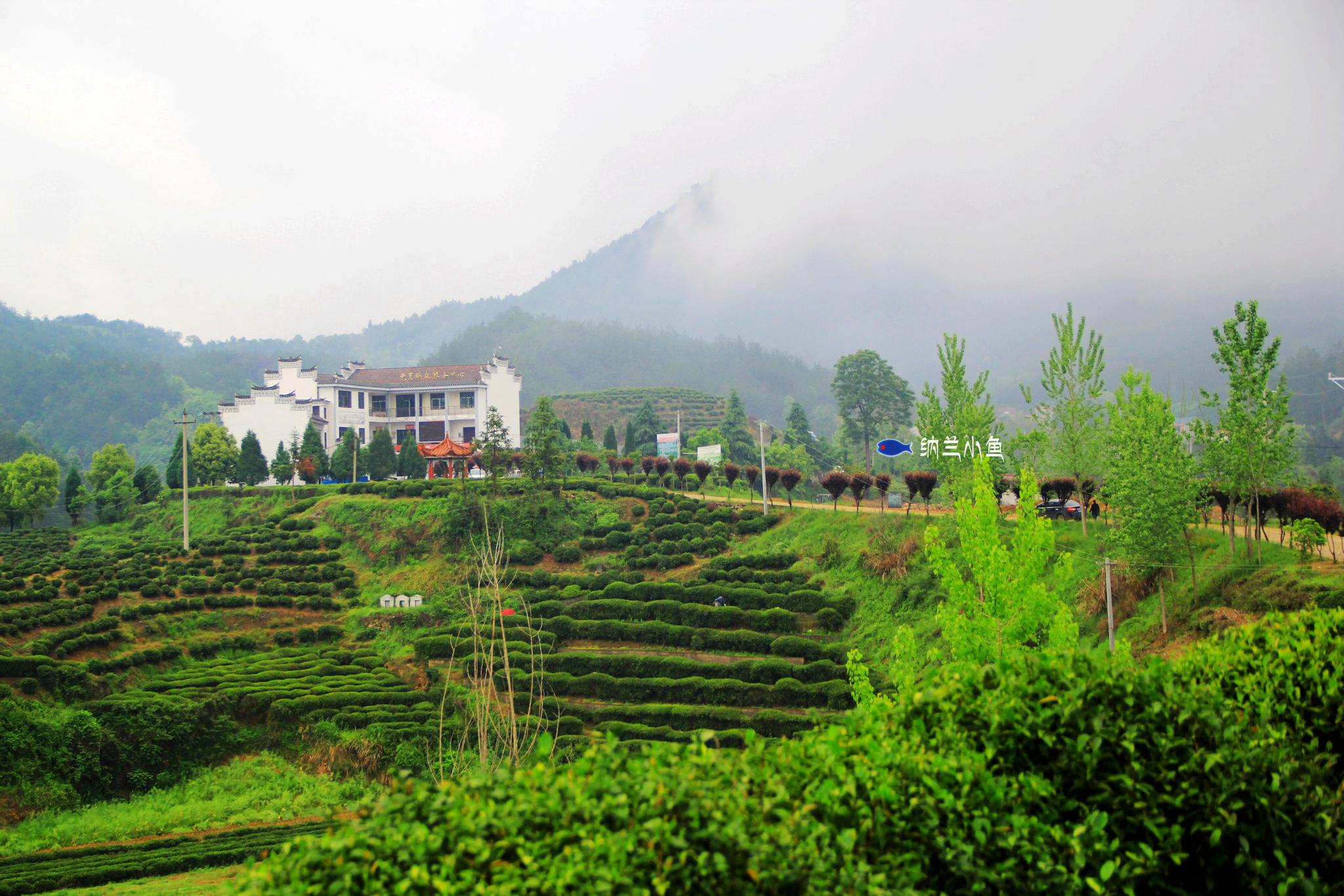 距武汉2小时湖北安徽交界处大别山南麓有个隐匿的森林童话王国