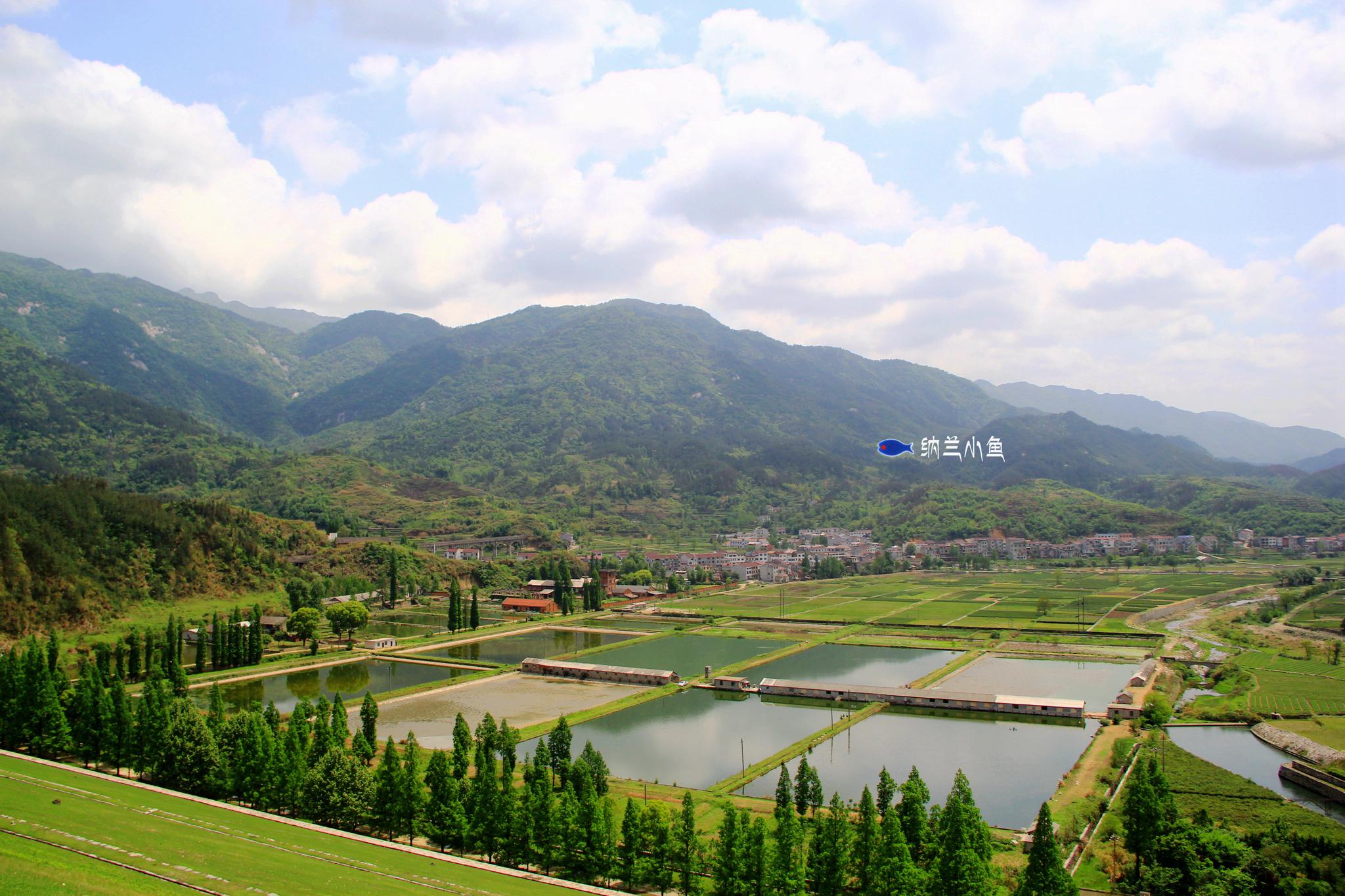距武汉2小时 湖北安徽交界处 大别山南麓有个隐匿的森林童话王国