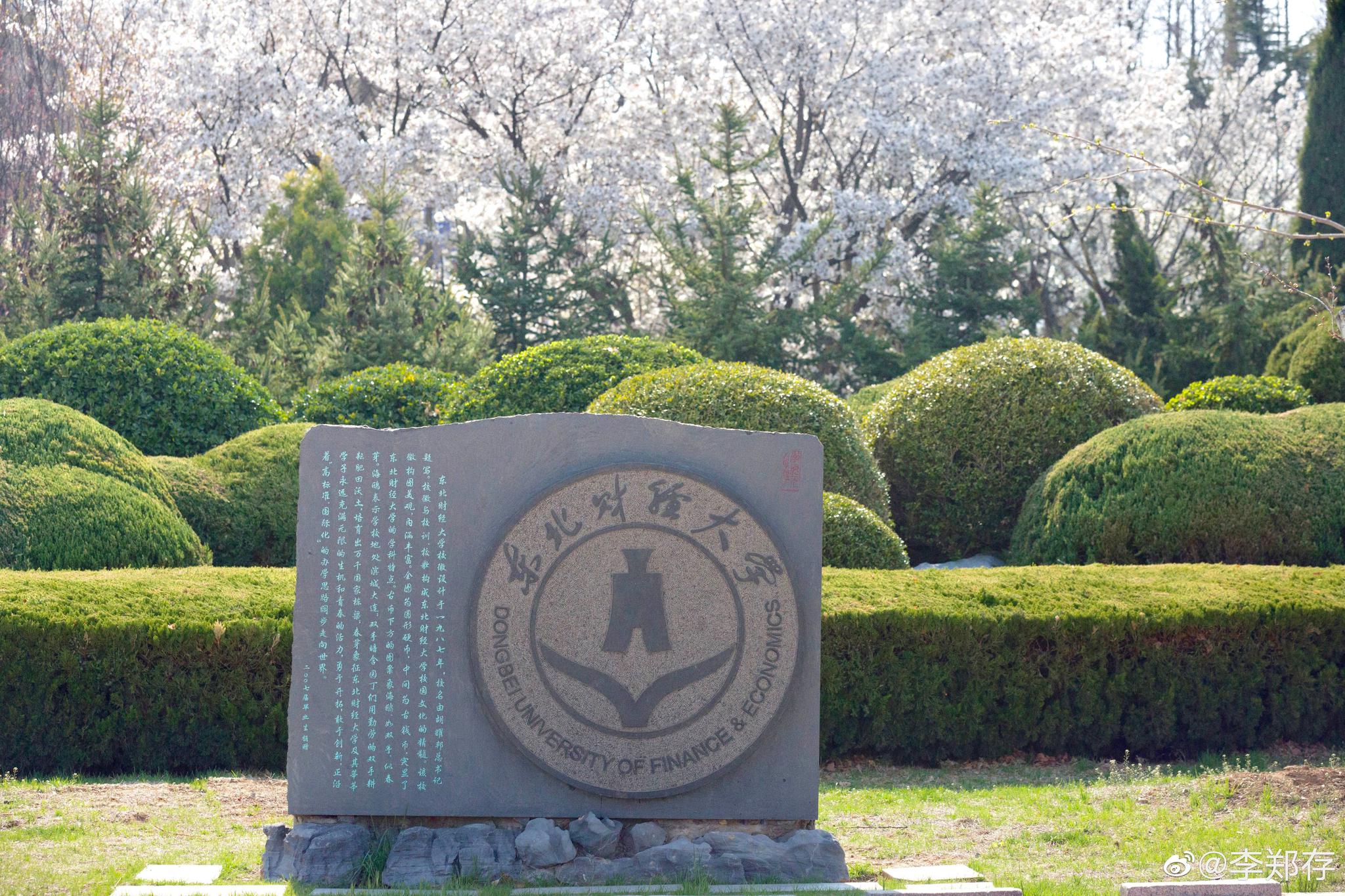 东北财经大学的樱花|东北财经大学|樱花|摄影_新浪新闻