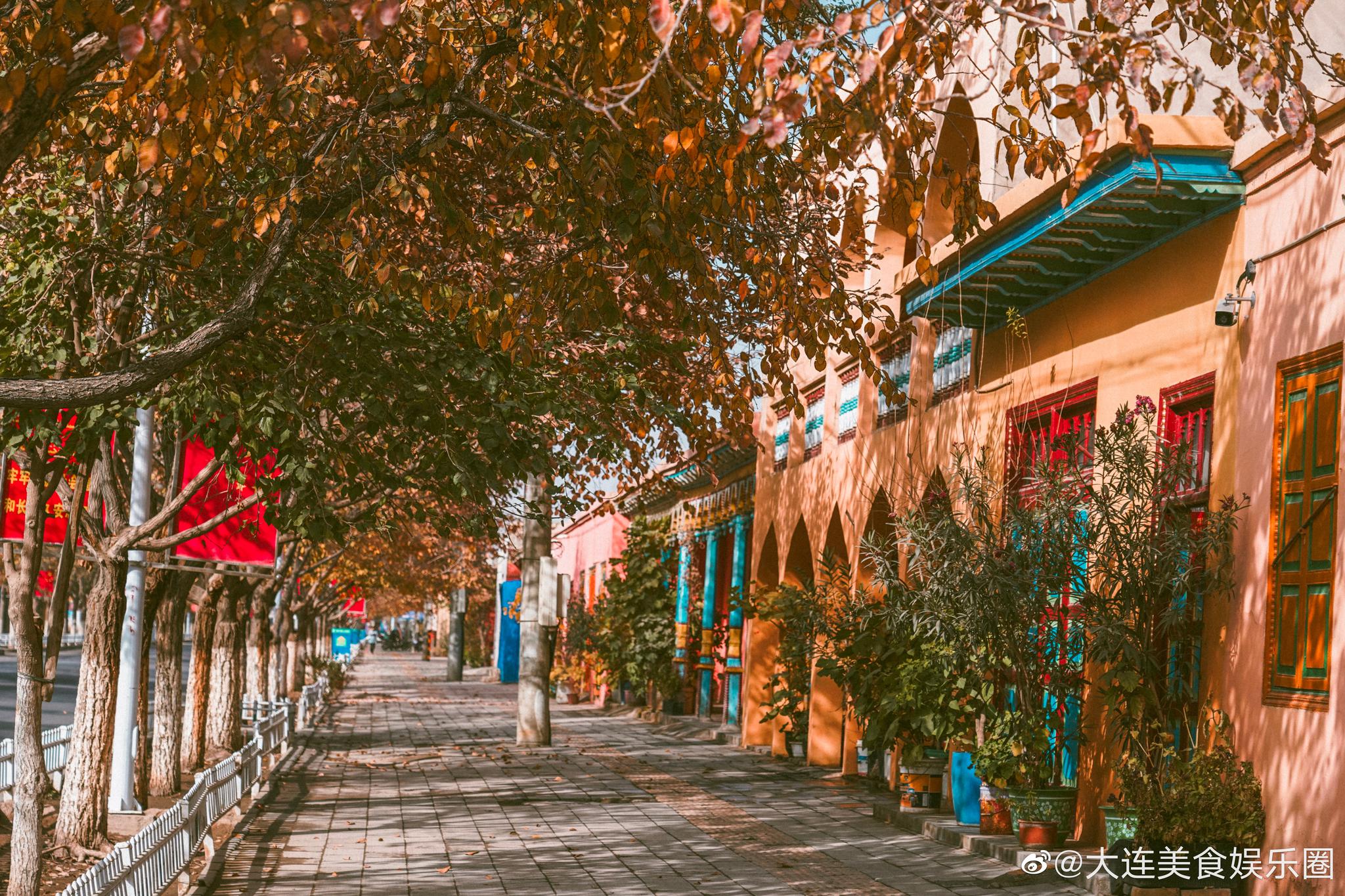 秋叶映衬着的库车老街
