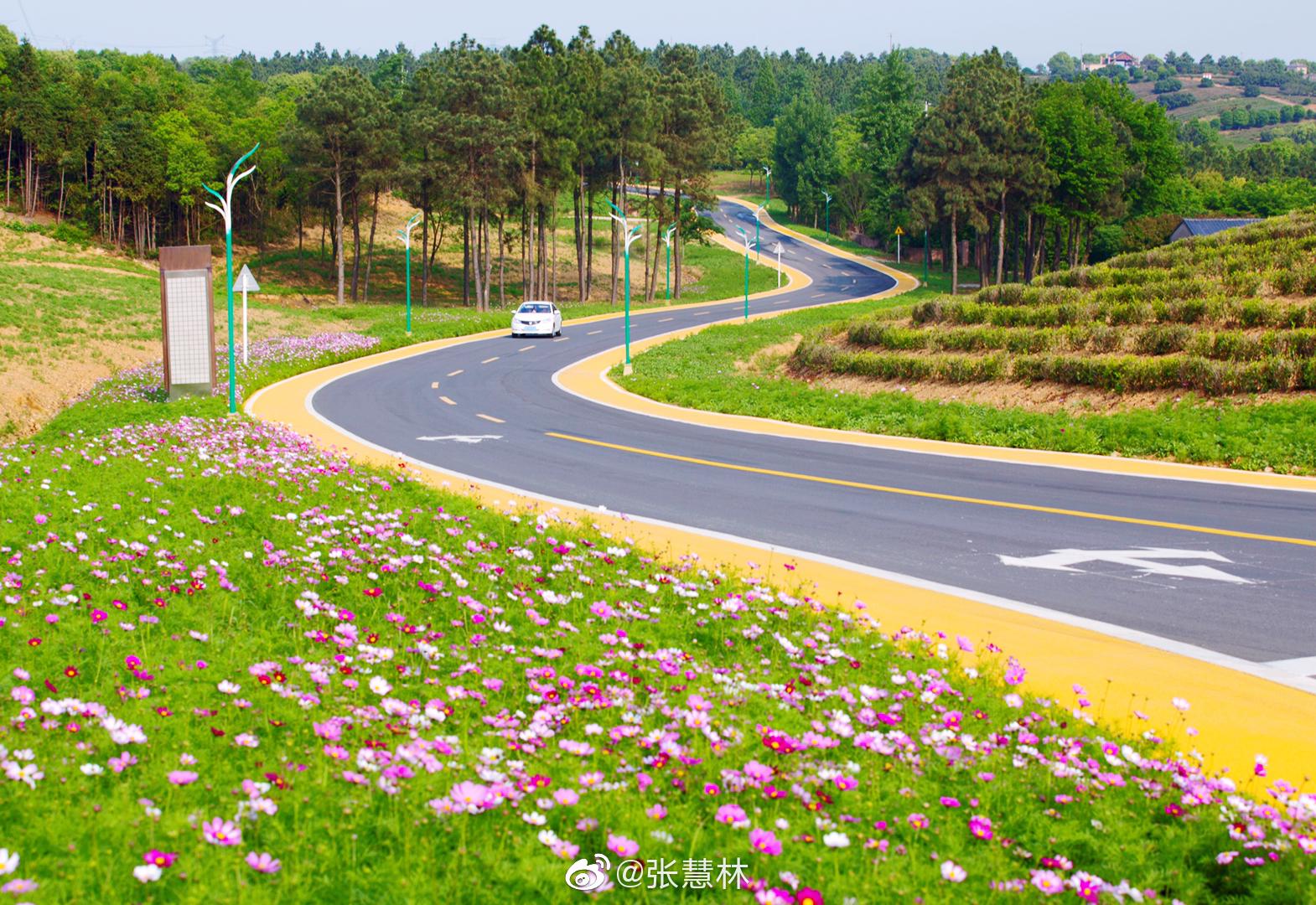 最美公路江苏展示周