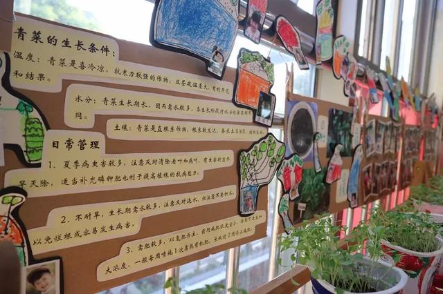 陈鹤琴创办的"传说级"幼儿园,96年后变成了什么样
