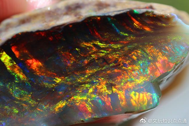 欧泊opal又名贵蛋白石是世上最美丽和最珍贵的宝石之一