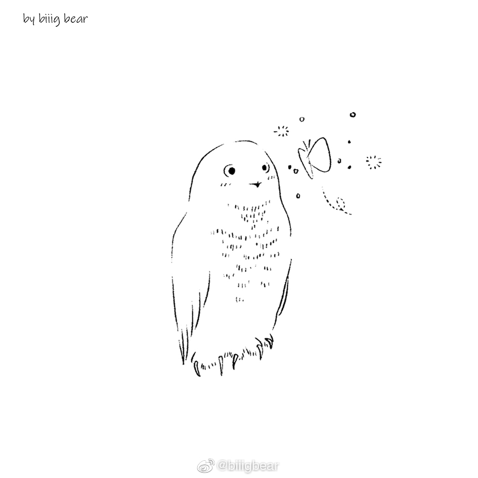 雪鸮素材画好啦雪鸮真的泰泰泰可爱第一千零一次感叹这次一