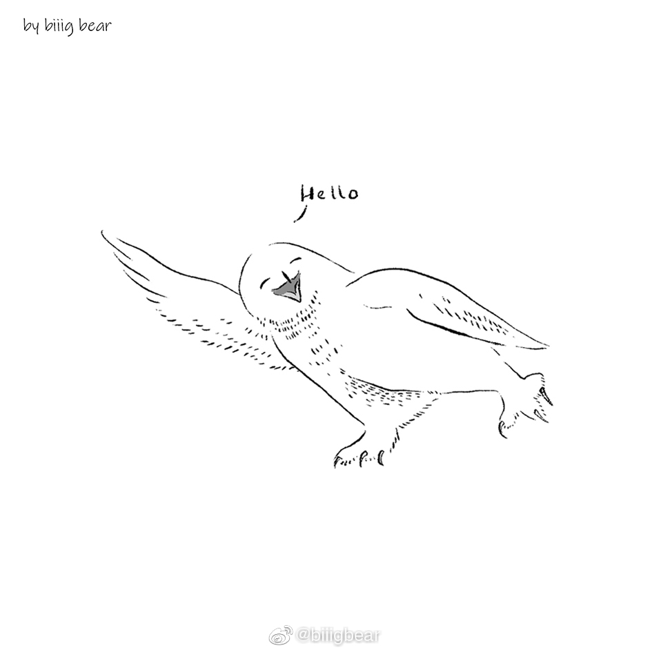 雪鸮素材画好啦雪鸮真的泰泰泰可爱第一千零一次感叹这次一