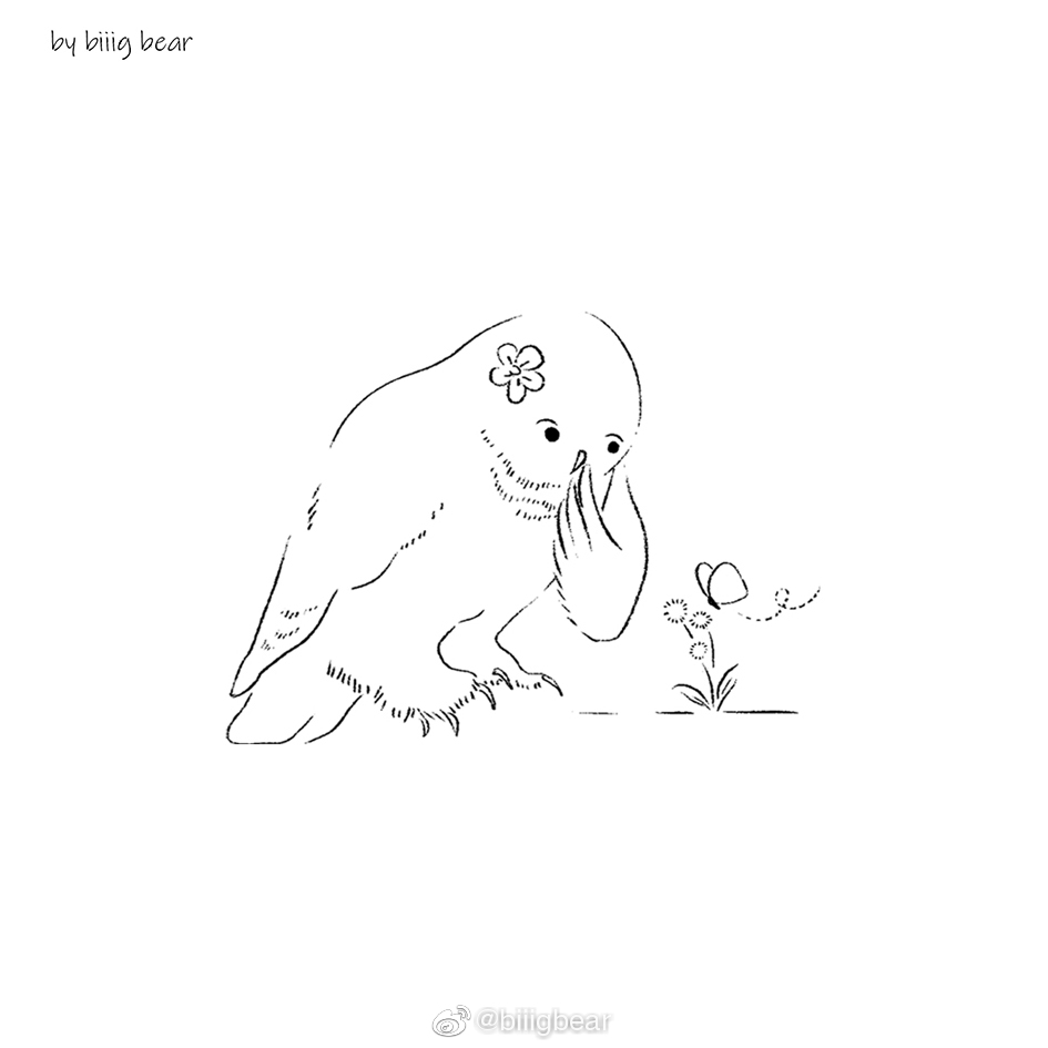 雪鸮素材画好啦雪鸮真的泰泰泰可爱第一千零一次感叹这次一