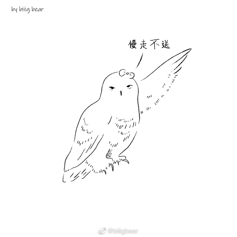 雪鸮素材画好啦雪鸮真的泰泰泰可爱第一千零一次感叹这次一