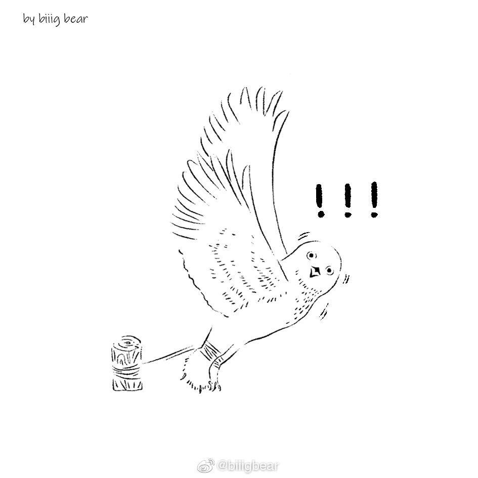 雪鸮素材画好啦雪鸮真的泰泰泰可爱第一千零一次感叹这次一