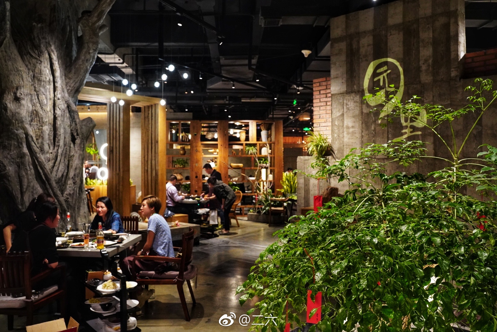 如今每次全家总动员从天府新区出发次@园里火锅 都会只去府城店|府城