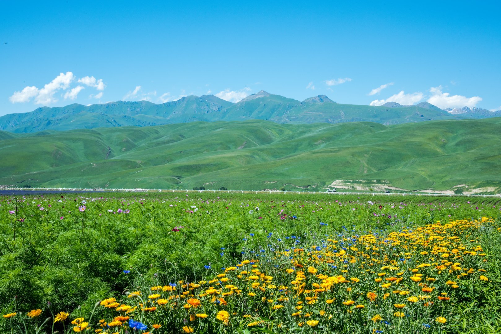 新疆伊犁 景色图片