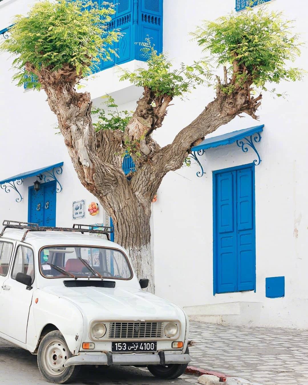 突尼斯的蓝白小镇97 ins:lablondeinstagram
