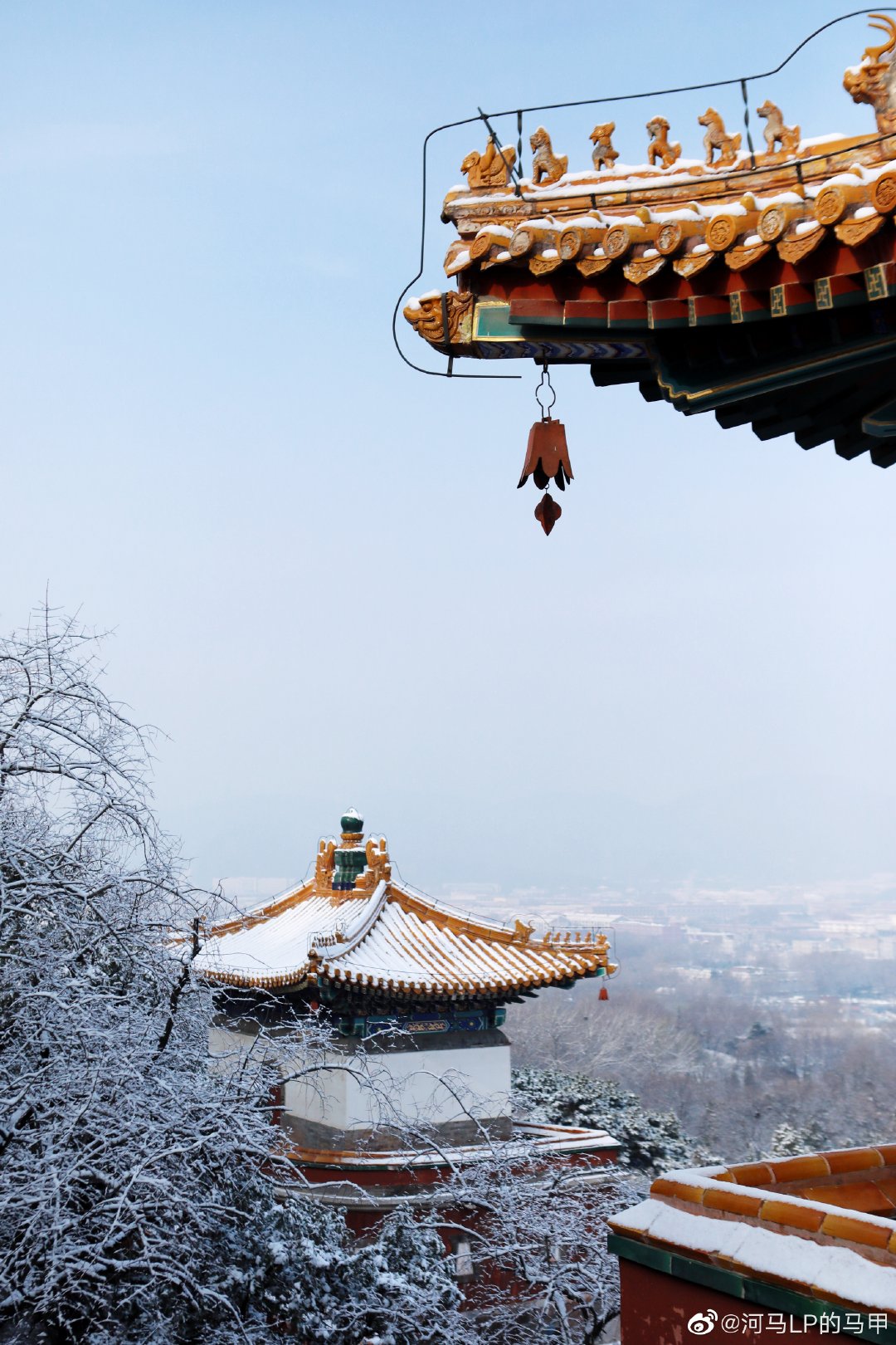 2019年北京冬天的第一场雪,颐和园须弥灵境盛景!摄影@河马lp的马甲