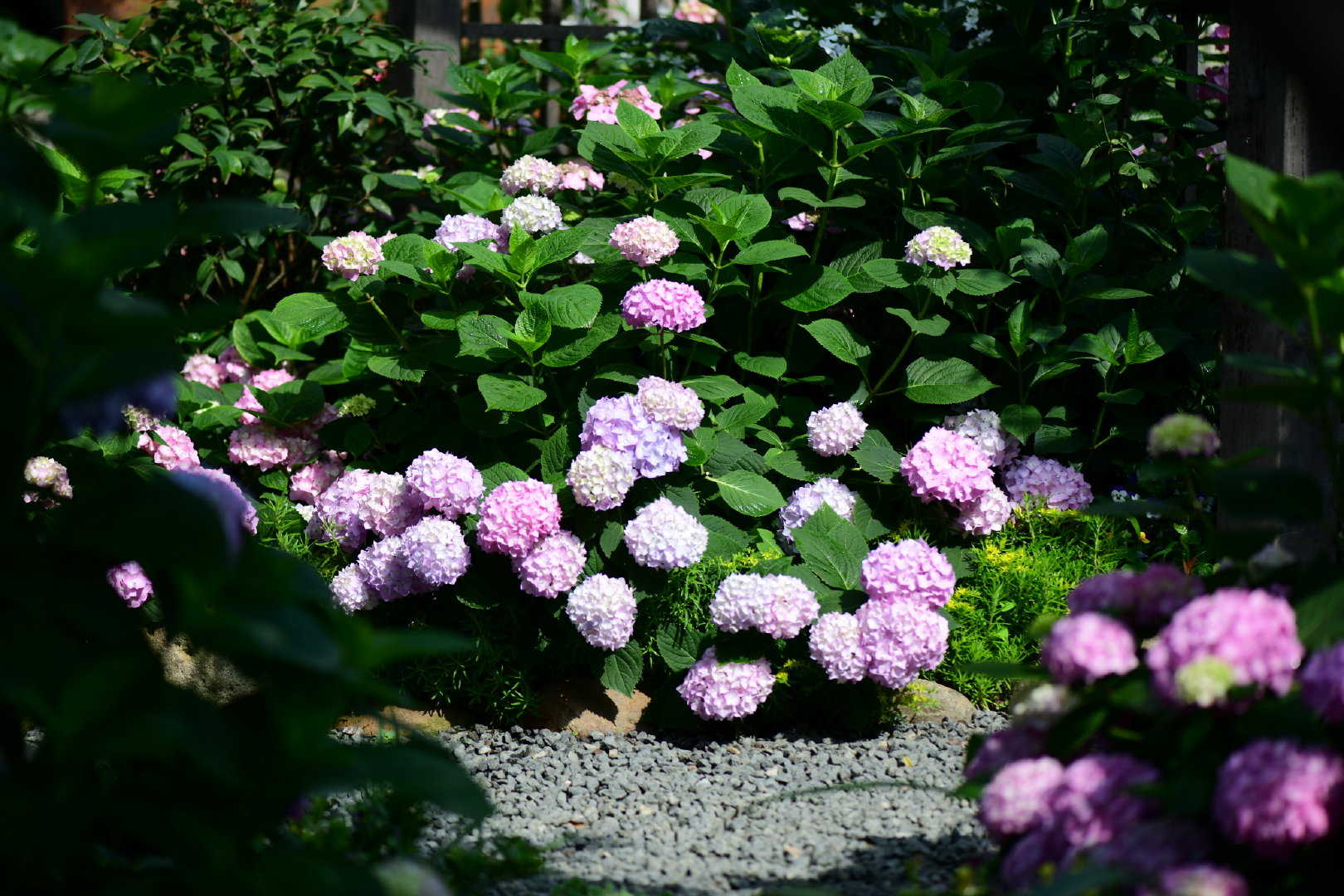 你的无尽夏为什么没调色