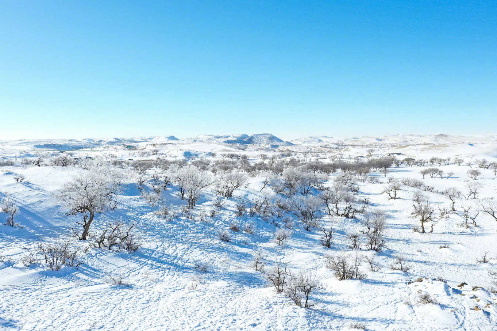 一起来看!草原冬日冰雪美景