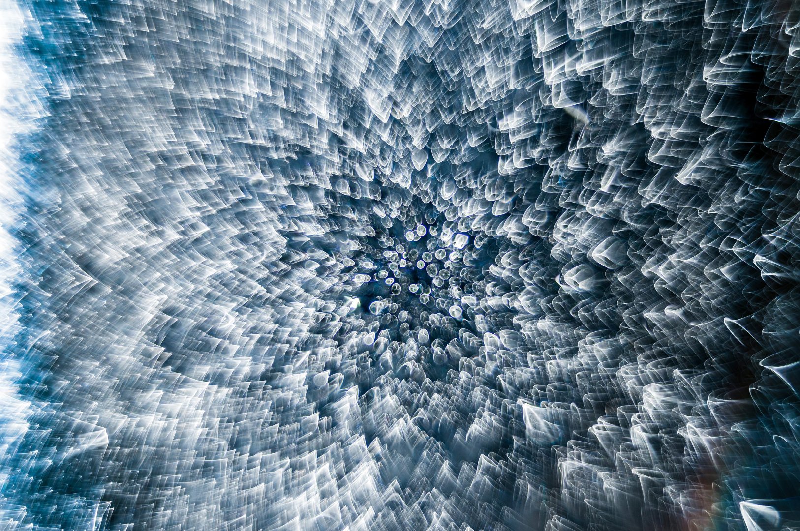 尼康策办的微距摄影比赛优胜作品