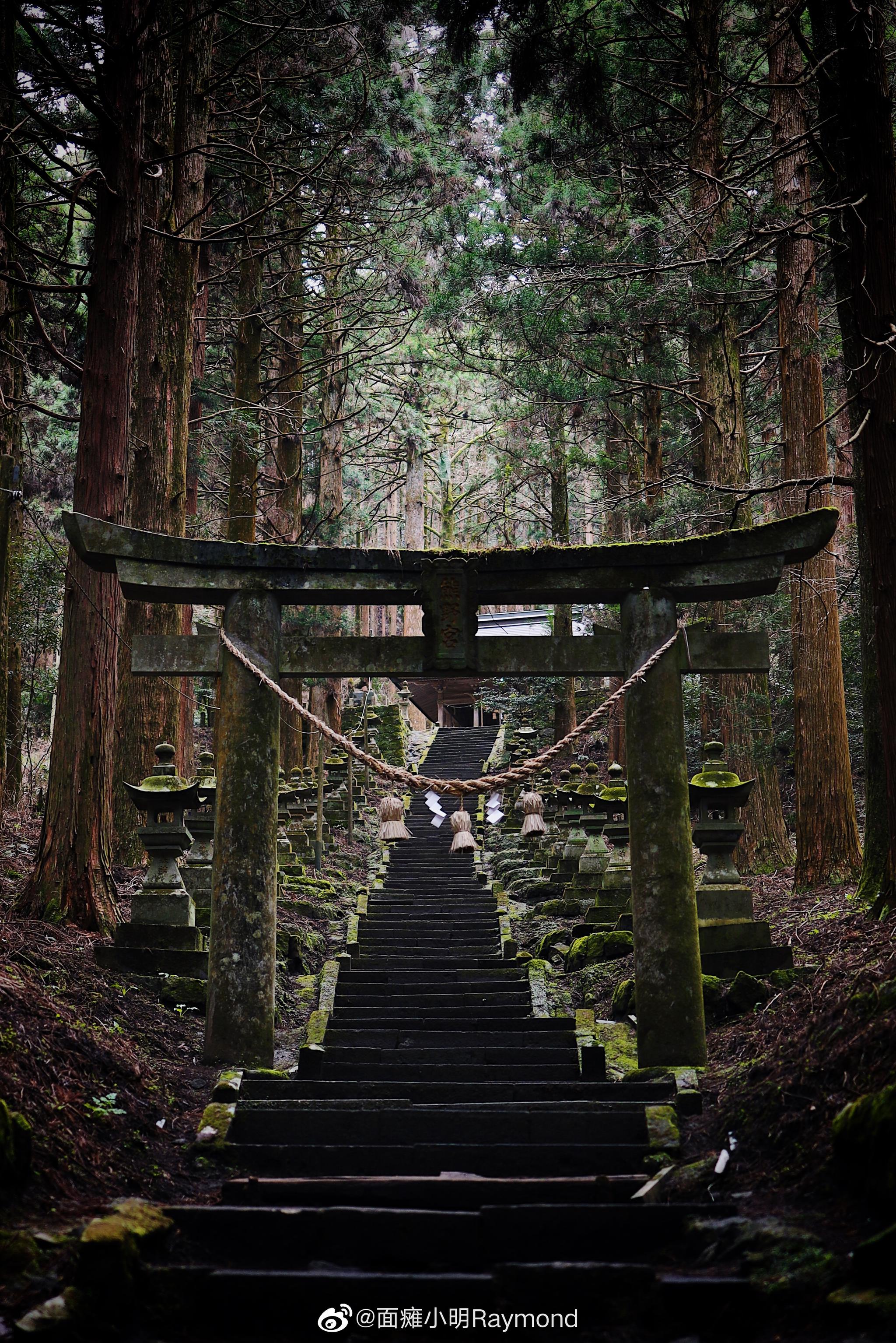 日本 北九州 ④ 各种鸟居⛩️|北九州|鸟_新浪新闻