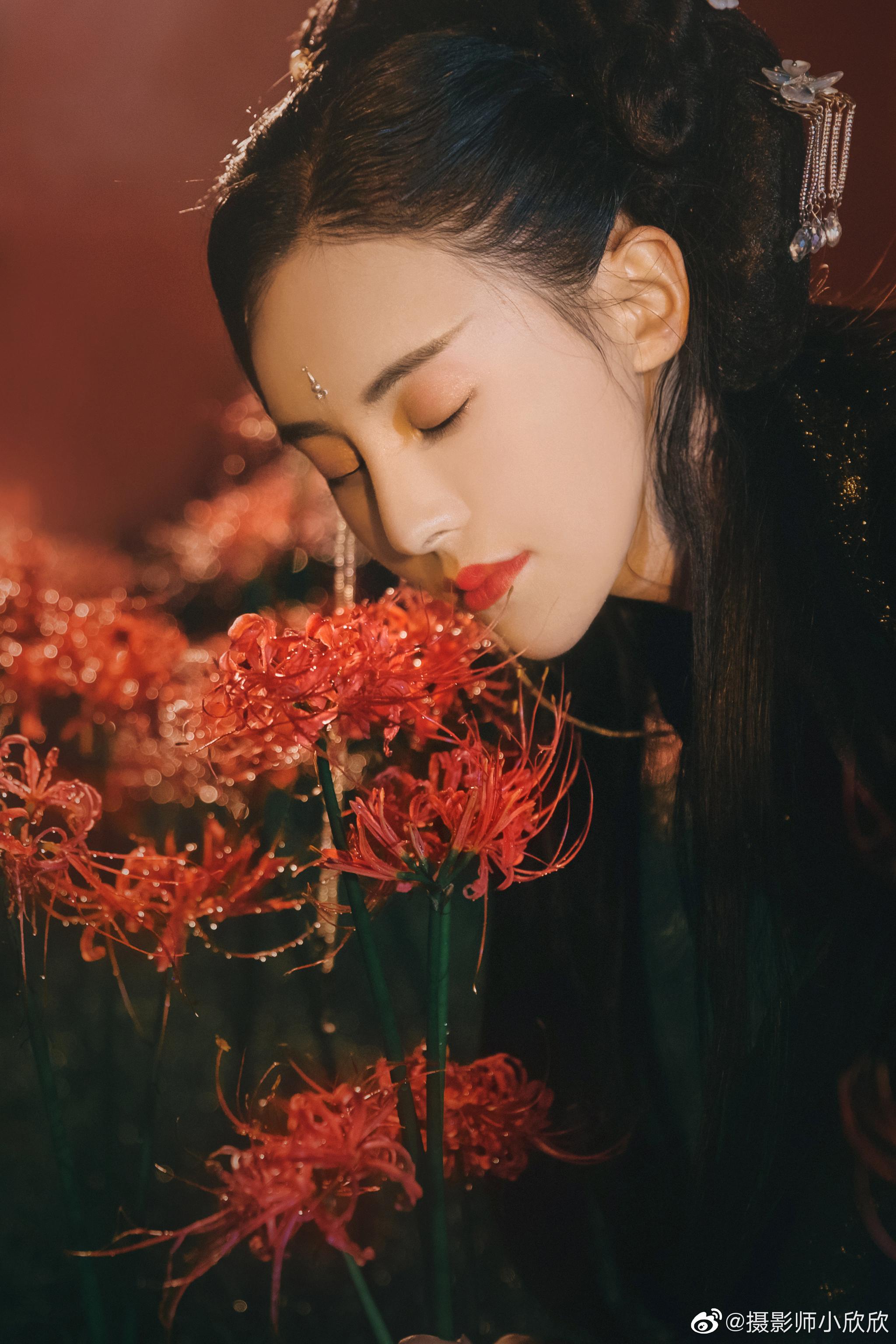 花开彼岸本无岸魂落忘川犹在川