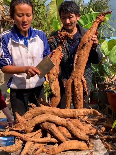 云南淋可可: 你们有炒过葛根粉吗