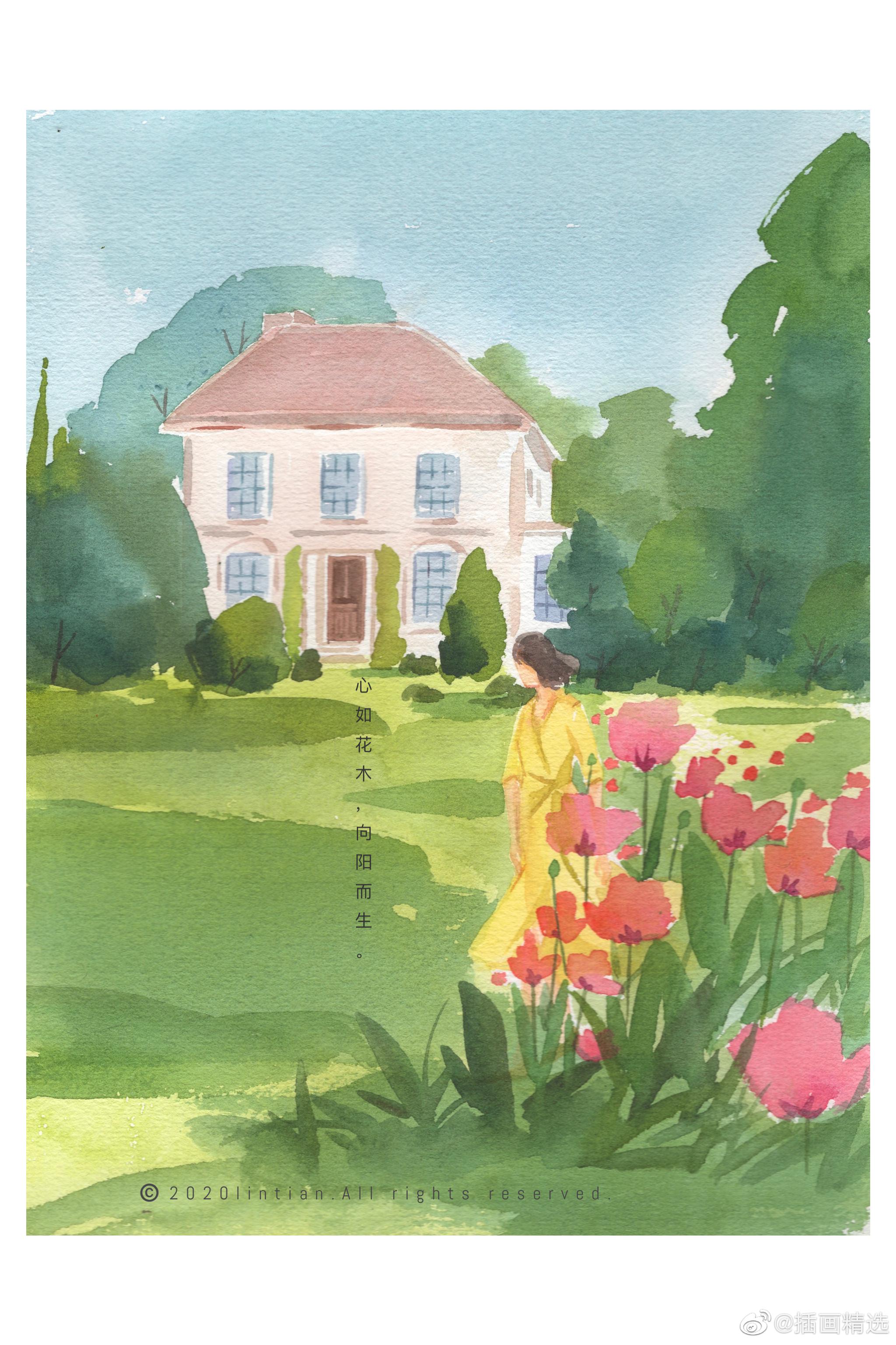 旅行走过的风光充满了美好和治愈的画面向阳而生的美好仿佛花草都