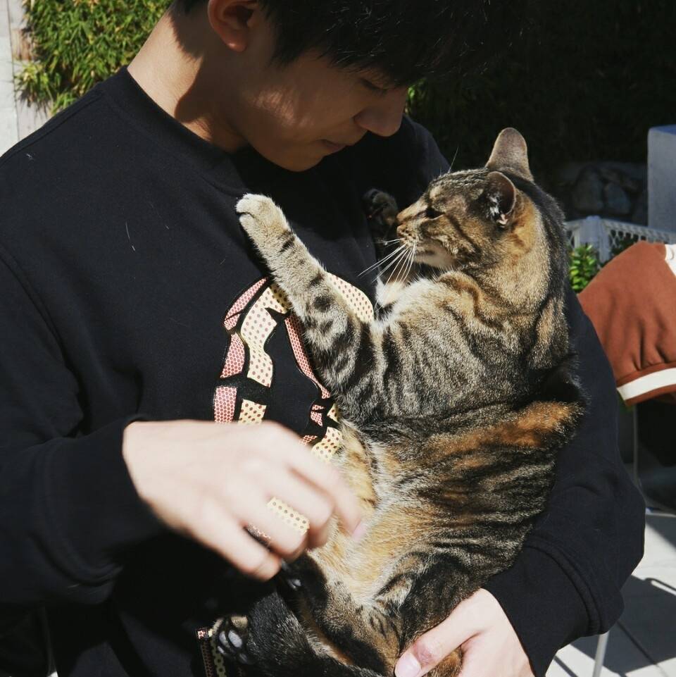 易烊千玺与猫最新照片图片