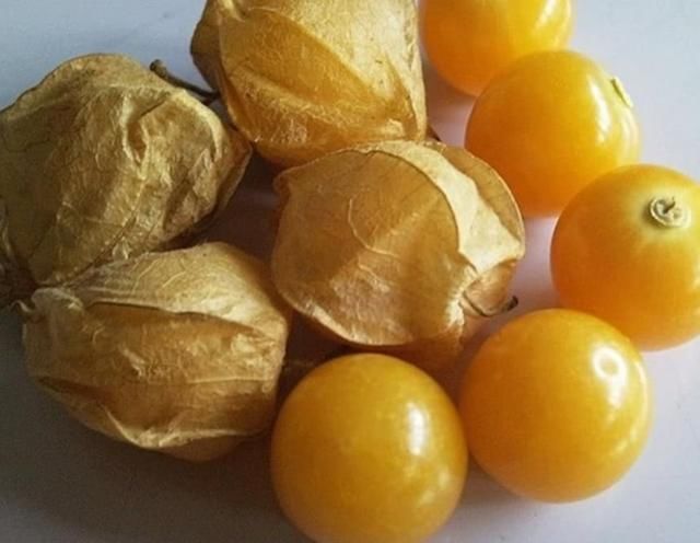 农村一种叫"金姑娘"的野果,以前随处可见,如今有钱也很难买到