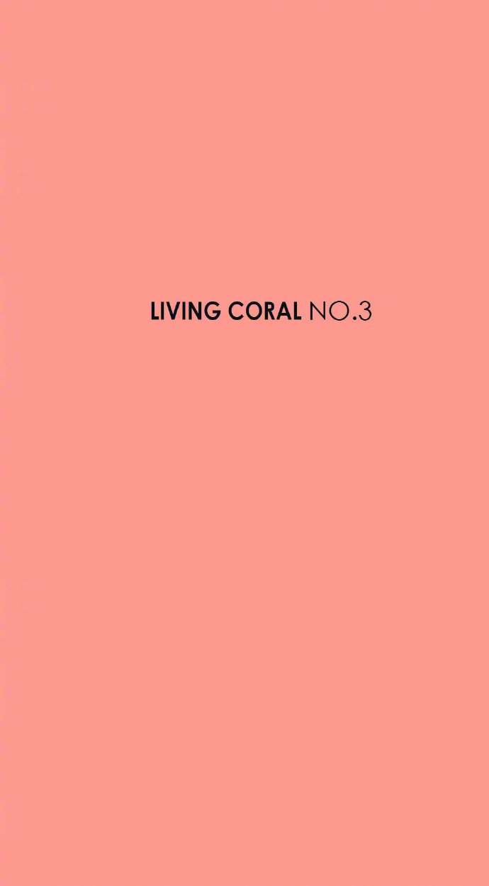 治愈色卡 / color of the year 2019 - living coral 珊瑚粉