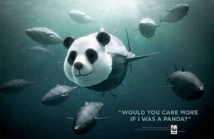 一组世界自然基金会（WWF）的公益海报